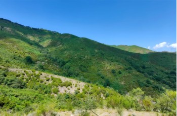Trail von Villagrande di Cichero zur Pria Scrita