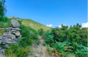 Trail von Villagrande di Cichero zur Pria Scrita