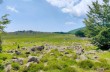 Rundweg vom Passo del Bocco zur Hütte von Pratomollo