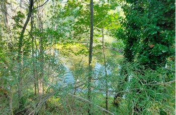 Lago di Rezzo