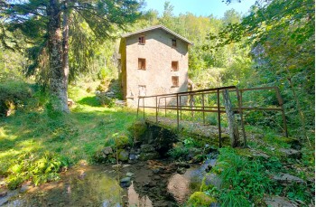 Mulino detto "dei Bachicchi"