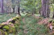 Rundweg im Val d'Aveto mit Start in Rezzoaglio
