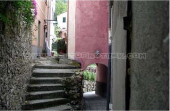 San Rocco - San Fruttuoso di Camogli