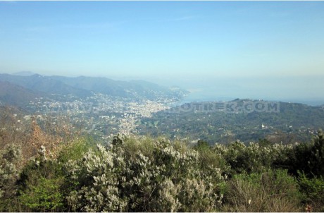 Rapallo - Santuario di Caravaggio - Ruta di Camogli