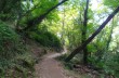 Der Weg der Mönche im Naturpark Portofino