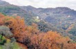 Der Weg der Mönche im Naturpark Portofino