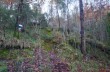Rundweg von Nascio über Monte Roccagrande, Cassagna und Statale