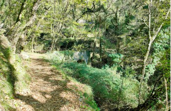 Ponte in pietra Campodonico