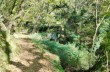 Chiavari - Campodonico - San Lorenzo - Anchetta - Santuario Madonnetta