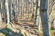 Trail von Reppia zum Monte Zatta und Monte Chiappozzo