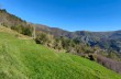 Trail from Reppia towards Monte Zatta and Monte Chiappozzo.