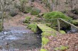 Rundweg von Rezzoaglio über Monte Gifarco und Monte Roccabruna