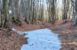 Rundweg von Rezzoaglio über Monte Gifarco und Monte Roccabruna