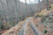 Rundweg von Rezzoaglio über Monte Gifarco und Monte Roccabruna