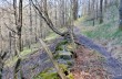 Rundweg von Priosa zum Monte Croce, Passo della Rocca und Parazzuolo