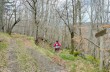 Rundweg Passo di Fregarolo - Fontanigorda