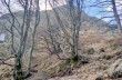 Rundweg im Val d'Aveto von Gramizza zum Monte Penna