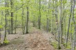 Itinéraire en boucle Casermette del Penna et Monte Penna
