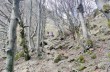Casermette del Penna and Monte Penna circular trail
