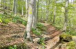 Casermette del Penna and Monte Penna circular trail