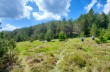 Casermette del Penna and Monte Penna circular trail