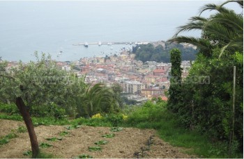 Rapallo - San Lorenzo della Costa
