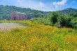 Rundweg von Paraggi und Valle dei Mulini und Portofino