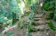 Rundweg von Paraggi und Valle dei Mulini und Portofino