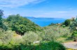Rundweg von Paraggi und Valle dei Mulini und Portofino