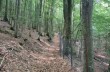 Rundweg des Monte Zatta ab Passo del Bocco