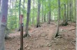 Rundweg des Monte Zatta ab Passo del Bocco