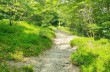 Rundweg des Monte Zatta ab Passo del Bocco