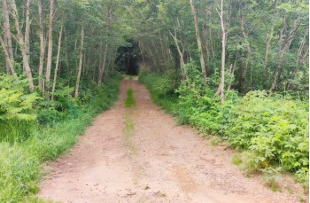 Rundweg von Priosa nach Ventarola und zurück über Parazzuolo