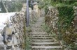 Da Camogli a San Rocco di Camogli, Monte di Portofino, Parco di Portofino