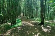 Rundweg von Santo Stefano d'Aveto zum Monte Maggiorasca