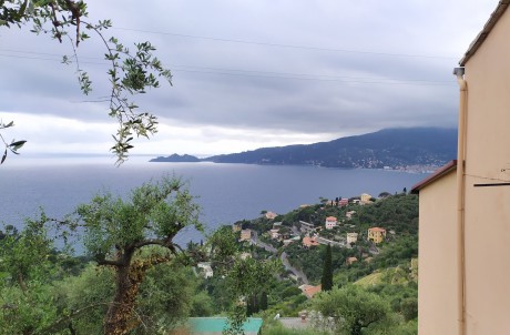Rapallo - Sant'Ambrogio - Semorile