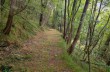 Zolezzi - Chiesa di Licciorno - Vallepiana - Zanoni - Zolezzi