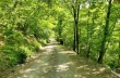 Rundweg Prato sopralacroce - Malga Zanoni