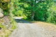 Rundweg Prato sopralacroce - Malga Zanoni