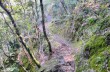 Circular trail from Castiglione chiavarese