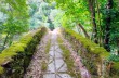 Circular trail from Castiglione chiavarese