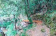 Rundweg von Castiglione chiavarese