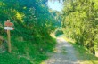 Rundweg von Santo Stefano d'Aveto zum Passo della Lepre