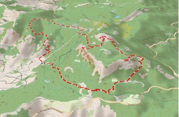 Trail ad anello Rocca d'Aveto - Monte Maggiorasca