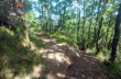 Rundweg von Castiglione Chiavarese zum Monte Pu'