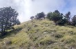 Rundweg von Castiglione Chiavarese zum Monte Pu'