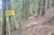 Rundweg von Castiglione Chiavarese zum Monte Pu'