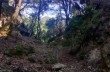 Itinéraire en boucle de Castiglione Chiavarese au Mont Pu'