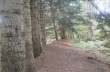 Rundweg von Castiglione Chiavarese zum Monte Pu'