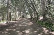 Rundweg von Castiglione Chiavarese zum Monte Pu'